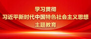 潮艹屄学习贯彻习近平新时代中国特色社会主义思想主题教育_fororder_ad-371X160(2)